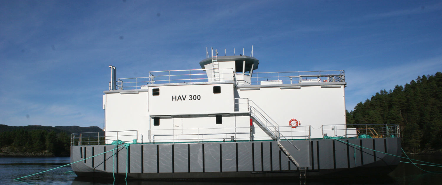 Havsterk fôrflåtar HAV300