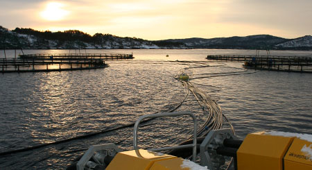 Fôrflåte Havsterk HAV 400