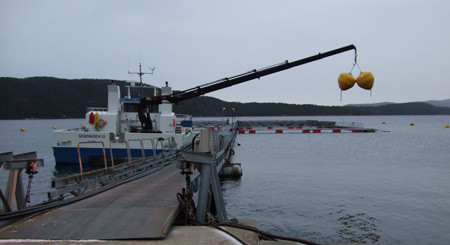 Servicebåt Havsterk - Sendingen III